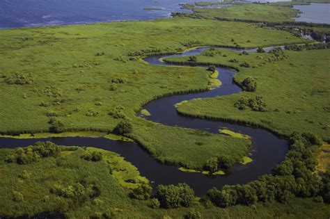 Danube Delta Romania Black Sea Delta Dunarii poze 02 | Romania Dacia