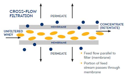 Cross Flow Microfiltration (CFM) | Glanbia Nutritionals