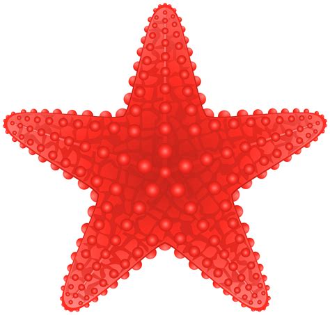 Free Starfish Cliparts Free, Download Free Starfish Cliparts Free png images, Free ClipArts on ...