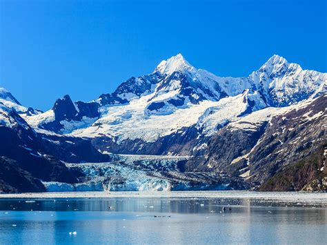 Scenic cruising in Alaska: Glacier Bay vs. Tracy Arm vs. Hubbard ...