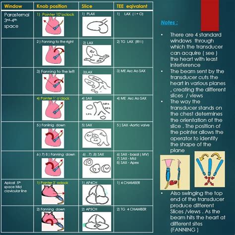 Three-Minute Review: Transthoracic and Transesophageal Echocardiography Standard Views | CTSNet