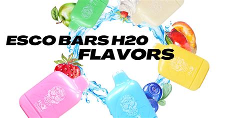 Esco Bars H20 Flavor Exploration: Water-Based Vape Magic