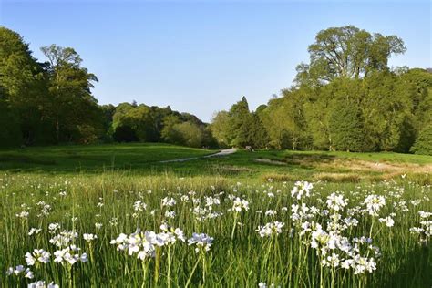 Wiltshire Life - Summer National Trust Wiltshire