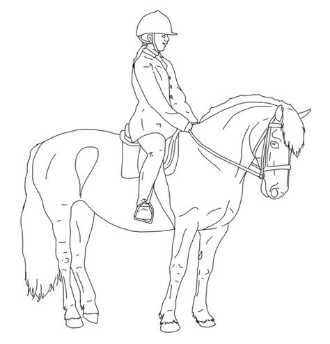 Horse Rider Drawing at GetDrawings | Free download