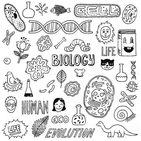 Hand-drawn biology inspired images. The background is white. All 40 ...