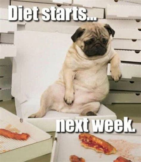 Funny Diet Fails That Anyone Can Relate To - Barnorama