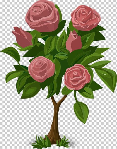 Flower Rose Plant Animation PNG, Clipart, Animation, Bushes, Cut Flowers, Filigree, Floral ...