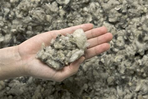 Wool Insulation - Slow Space