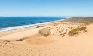 Sand City Beach in Sand City, CA - California Beaches