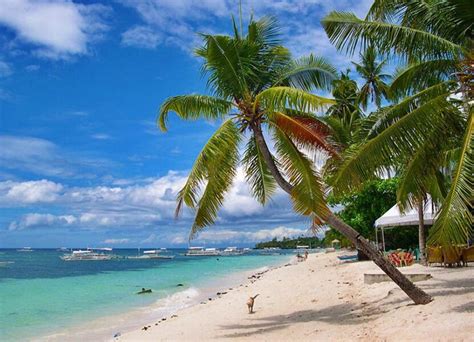 PANGLAO ISLAND, BOHOL TRAVEL GUIDE | The Happy Trip