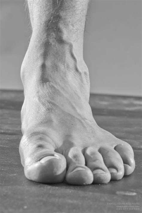 foot drawing reference - Google Search | Life drawing reference, Anatomy reference, Anatomy for ...