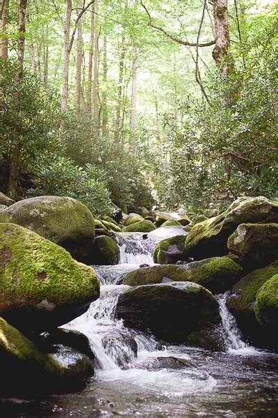 Mountain Stream Waterfall 2 | picXclicX | Free Stock Photos you can't ...