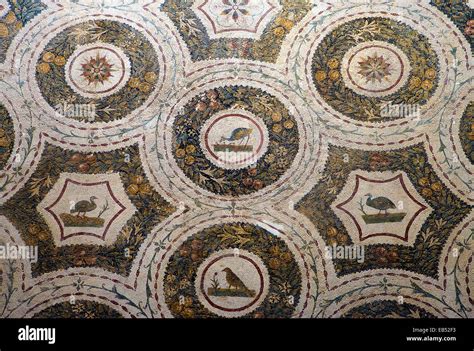 Tunisia, Tunis, Roman mosaics in the Del Bardo museum Stock Photo - Alamy