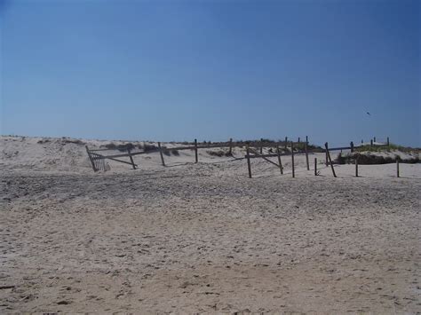 Assateague State Park | MapQuest Discover