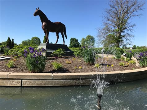 Cozy Rosie: Kentucky Horse Park - Lexington, Kentucky