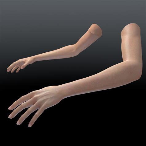 fbx realistic womans arms