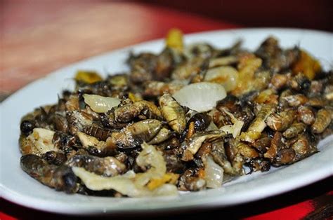 Adobong Kamaru (Mole Cricket), Pampanga ~ FILIPINO AUTHENTIC CUISINE