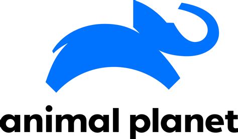 Archivo:2018 Animal Planet logo.svg - Wikipedia, la enciclopedia libre