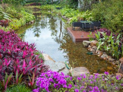 Pondscape Plants For The Southeast: Growing Pond Plants In The South