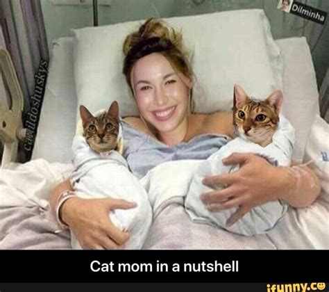 & 1 Cat mom in a nutshell - Cat mom in a nutshell - iFunny | Cat mom, Funny car memes, Cat parenting