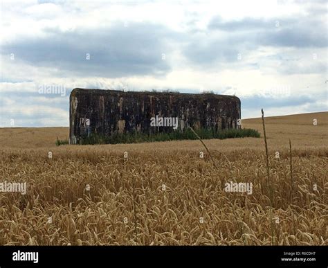 Bunker Of Ww2 In France, Alsace Stock Photo - Alamy