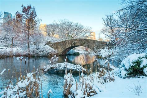 Central Park. New York. USA in Winter Covered with Snow Stock Photo ...