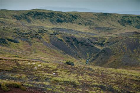 How to Get to the (Free) Reykjadalur Hot Springs near Reykjavik ...