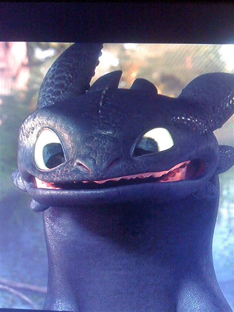 Toothless smiling (from "How to Train your Dragon.") I laugh every time he does that. | How ...