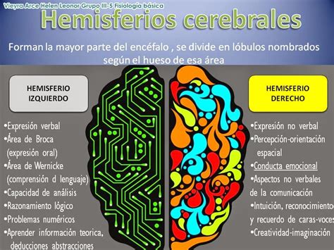 Fisiología Básica: Hemisferios cerebrales.