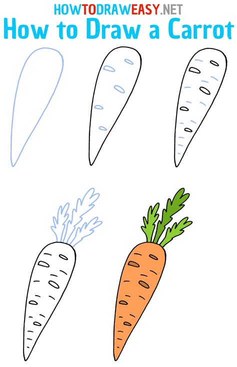 How To Draw Cute Carrot Easy Drawing Step By Step Draw – NBKomputer