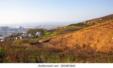 Vredehoek Quarry Cape Town South Africa Stock Photo 2023891865 ...