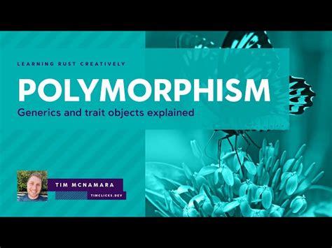 Rust Polymorphism: Generics and trait objects explained - timClicks (Tim McNamara)