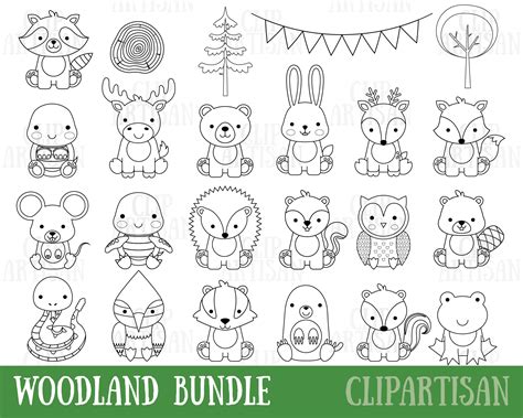 Woodland Baby Animals Clipart Digital Stamps Bundle Forest - Etsy