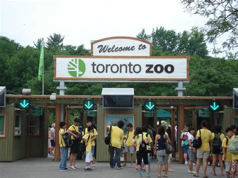 TDSB Summer ESL Program for International Students: Day 12: The Toronto Zoo