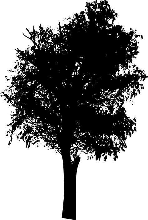 Free photo: Tree Silhouette - Black and white, Black-and-white, Branches - Free Download - Jooinn