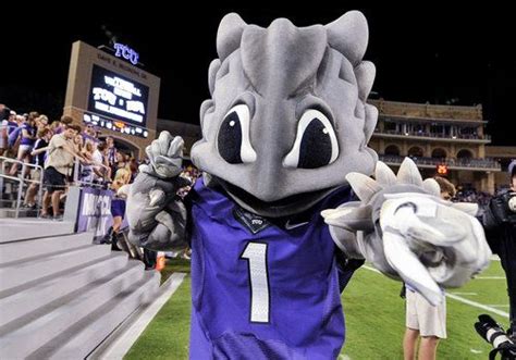 Texas Christian University mascot Super Frog. | Tcu horned frogs ...