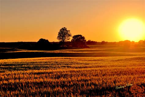 Sunset over farm fields in Seeley's Bay | Vacation spots, Travel inspo, Sunset