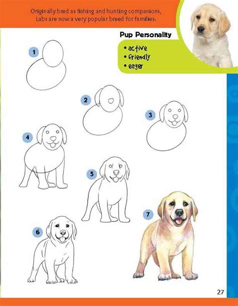 Learn to Draw Dogs & Puppies: Step-by-step instructions for more than ...