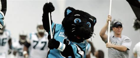 Meet Carolina Panthers Mascot 'Sir Purr' - ABC News