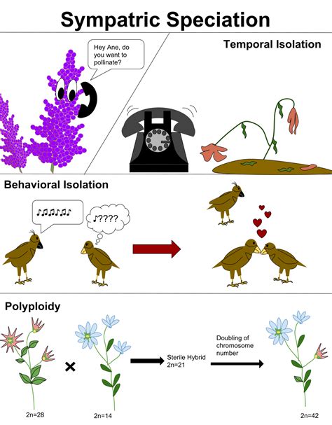 Speciation