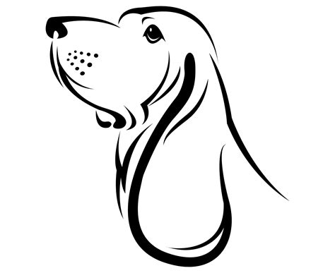 Basset Hound Drawing | Free download on ClipArtMag