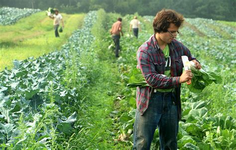 North Syracuse CSA Pick-up Mother Earth Health Foods | Main Street Farms