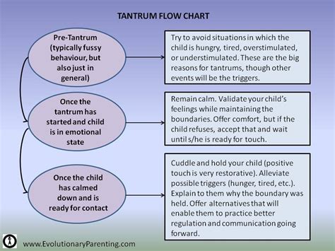 Helping Kids Find Alternatives to “the Tantrum” | Evolutionary ...