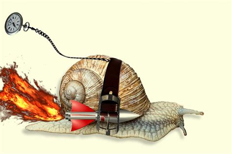 Racing Snail Free Stock Photo - Public Domain Pictures