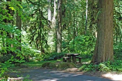 The Best Camping Near Oakridge, Oregon - Maps Over Coffee