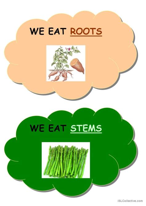 Plant parts we eat: English ESL worksheets pdf & doc