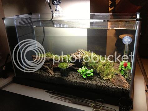 Introduction and my fluval SPEC V | The Planted Tank Forum