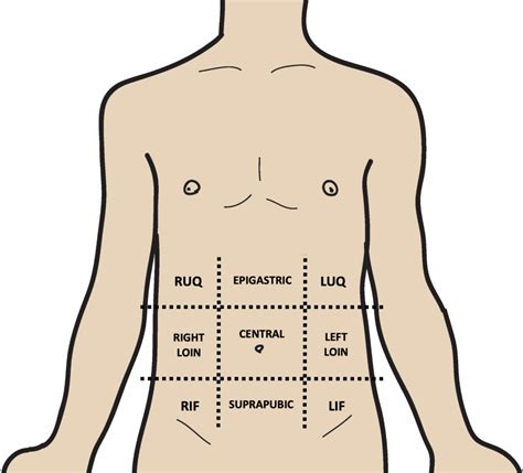 Abdominal Examination | OSCEstop | OSCE Learning