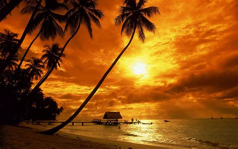 Tropical Sunset Beach HD wallpaper | Beach sunset wallpaper, Sunset wallpaper, Beach sunset