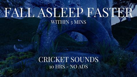 Cricket Sounds for Sleeping | 10 HOURS No Ads | Sleep and Relaxation | Nature Sounds - YouTube